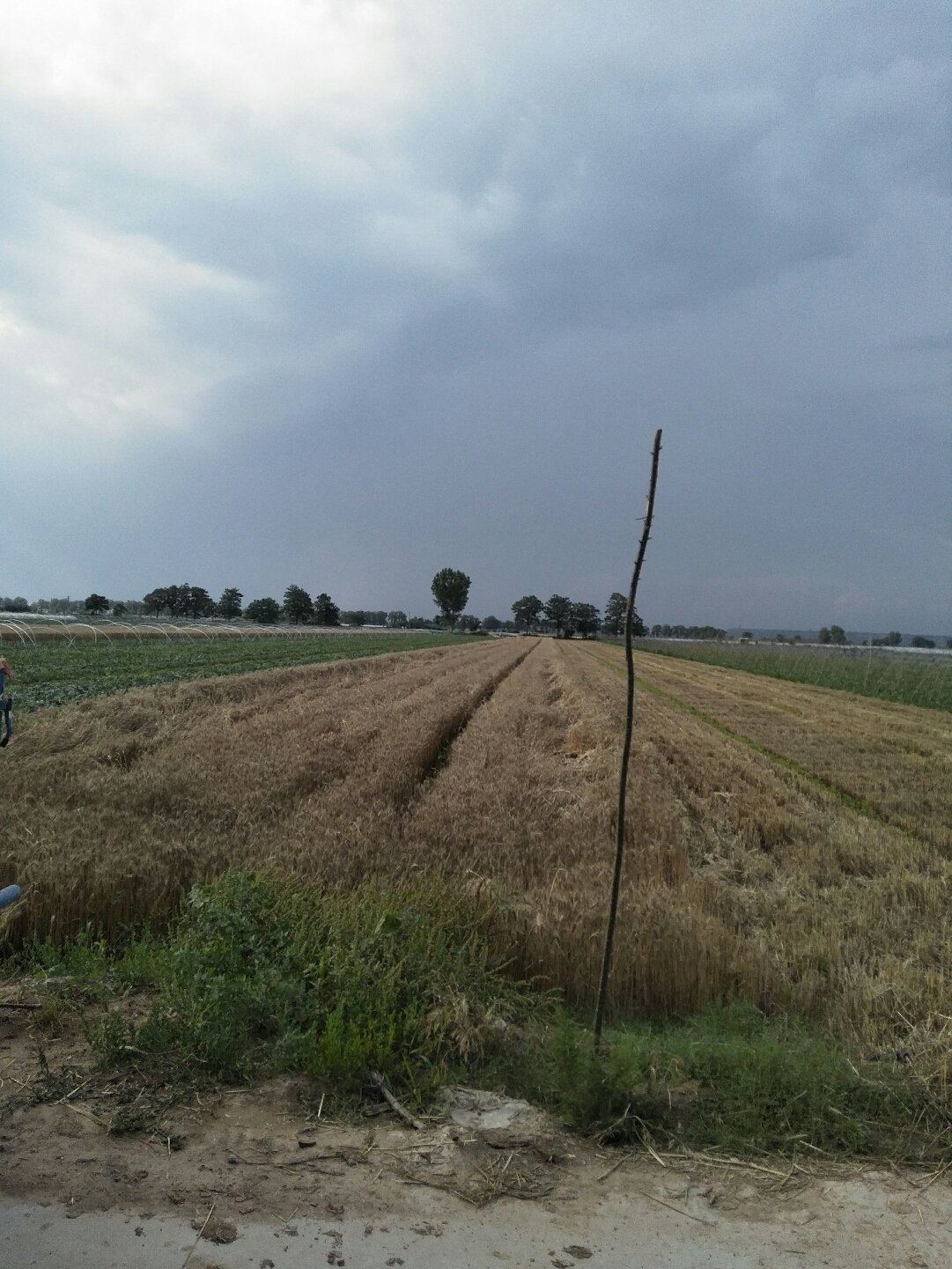 蒲城天氣預(yù)報(bào)，暖陽(yáng)下的友情時(shí)光