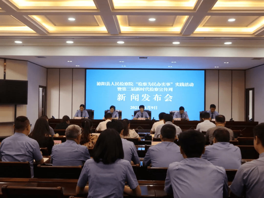 泌陽新聞最新動(dòng)態(tài)，多元視角下的觀察與思考