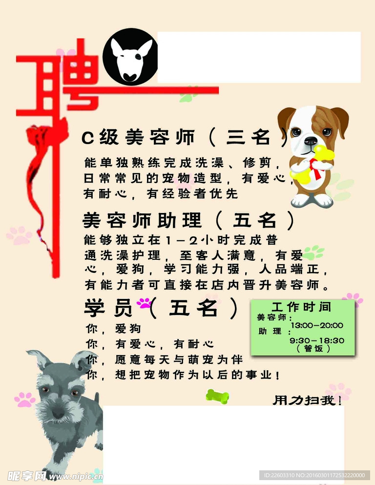 寵物店招聘最新動(dòng)態(tài)，共探自然之美，尋求內(nèi)心寧靜