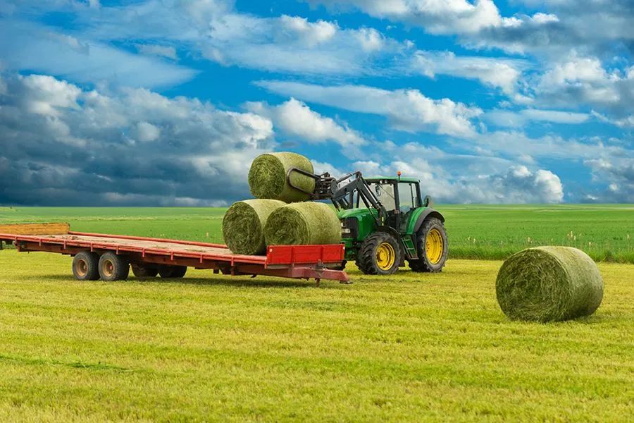 農(nóng)業(yè)最新動態(tài)，時代的脈搏與綠色希望共舞