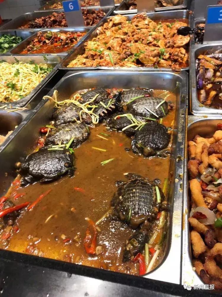 探索食堂美食新潮流，最新食堂菜一覽