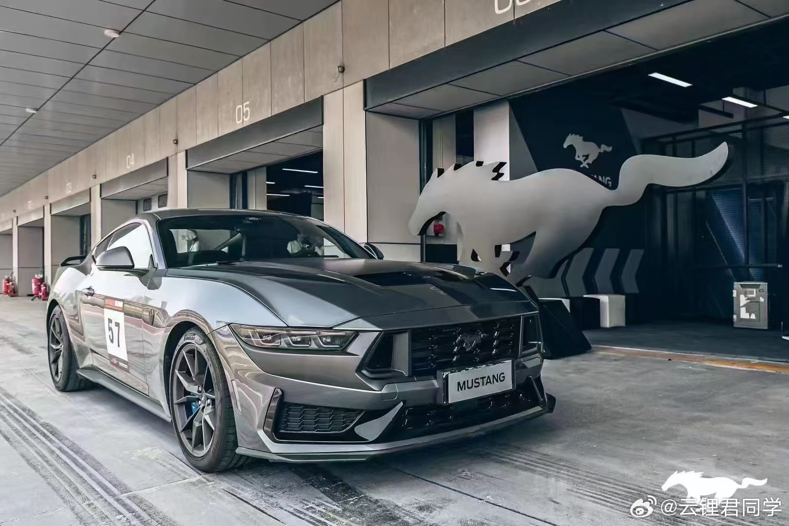 野馬擼最新動態(tài)，駕馭變化，自信成就夢想之旅