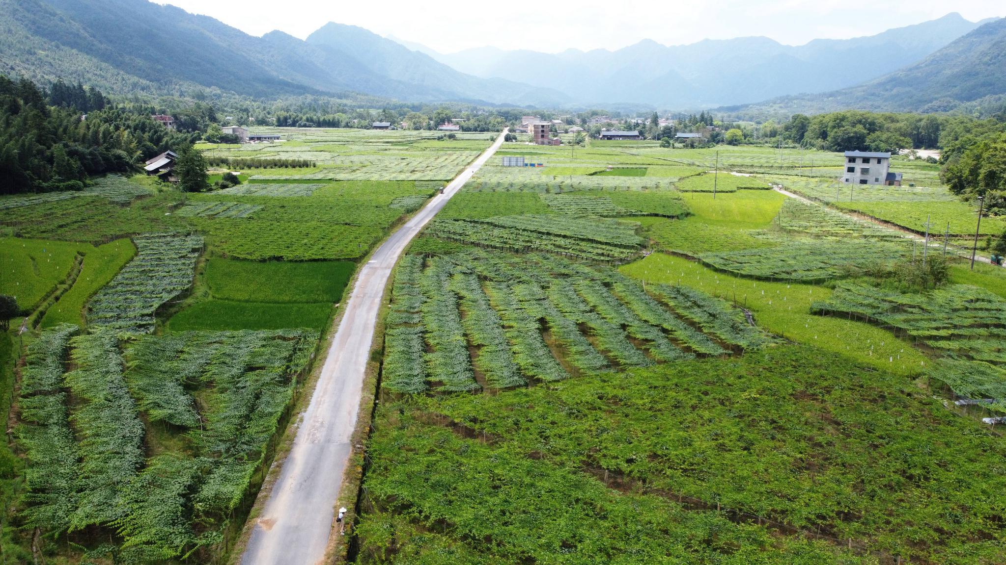 新文村，時代變遷下的文化繁榮與發(fā)展新篇章