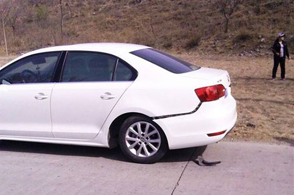 速騰斷軸最新進展與小巷深處的匠心獨運