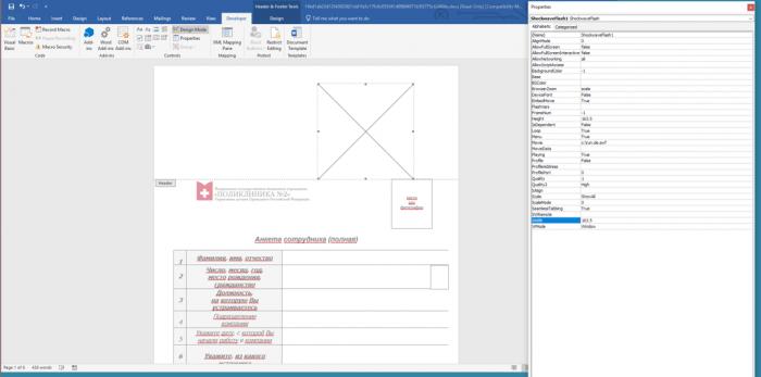 Flash Player官方最新版下載，探索小巷寶藏與特色小店的奇妙之旅