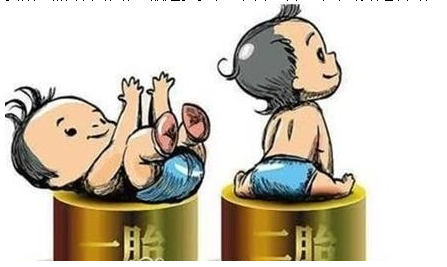 最新雙胞胎補助政策，攜手同行，助力孕育夢想之路