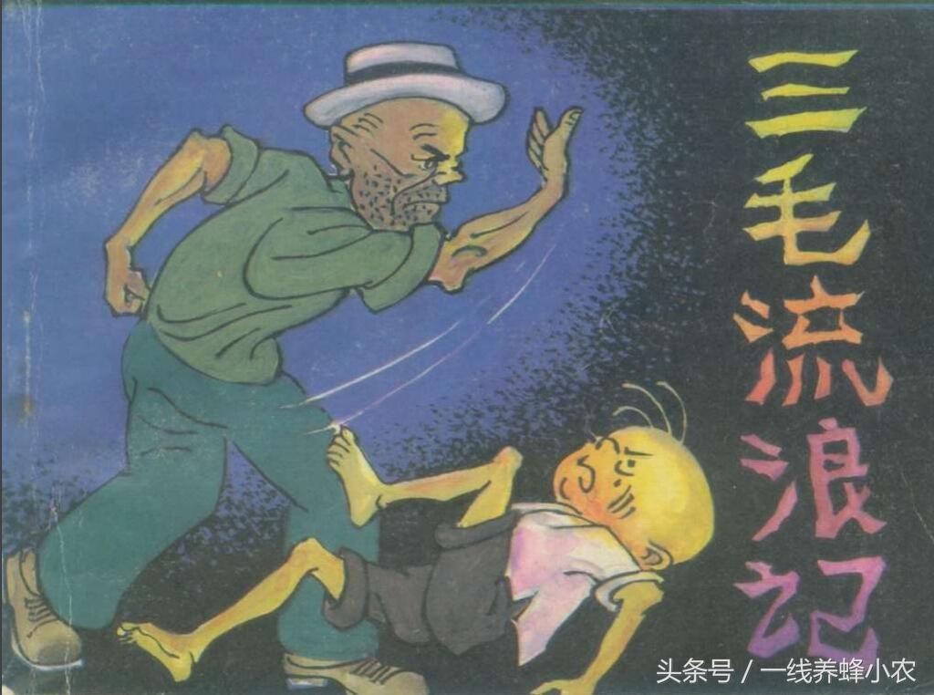 上海三毛最新動態(tài)，自然美景探索之旅啟幕