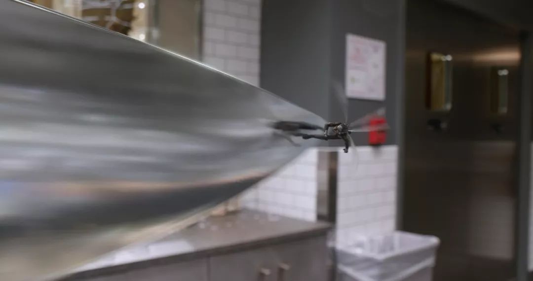 最新電泳技術，一路向前，學習成就自信之源