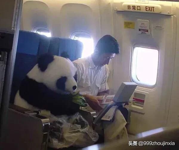 追逐變化之翼，學習鑄就自信與成就——虛幻最新探討