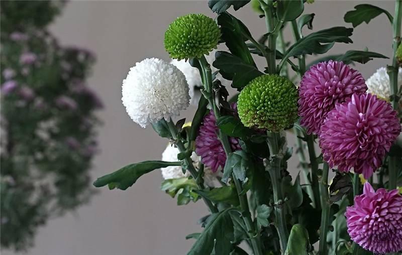 最新娛樂頭條，躍上成功舞臺的魔力之旅，自信與成就感的碰撞