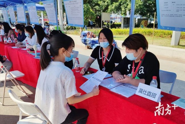 石碣最新招聘動態(tài)，把握職業(yè)機遇，共創(chuàng)美好未來之路