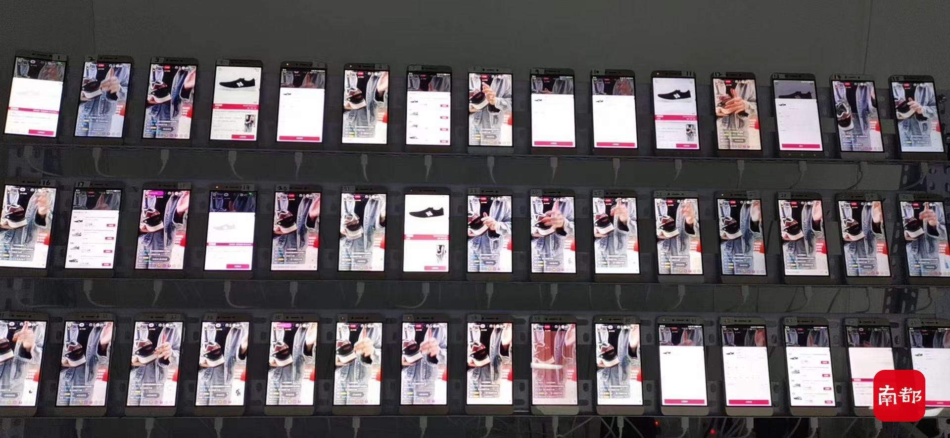 秒拍最新福利，踏上自然之旅，探尋內(nèi)心平和與寧靜的奧秘