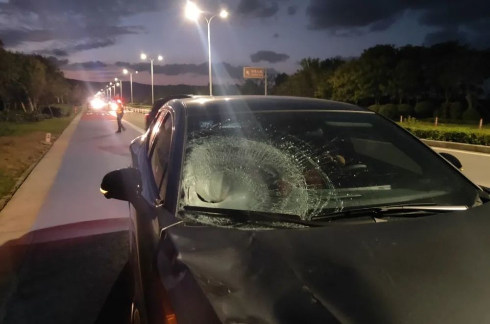 舟山車禍最新動(dòng)態(tài)，科技引領(lǐng)事故處理重塑新篇章