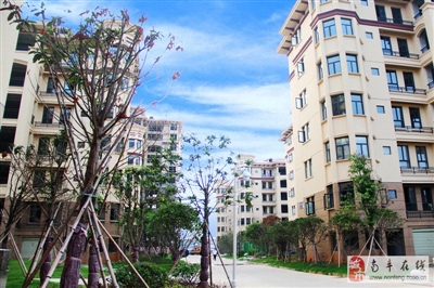 江西南豐最新房?jī)r(jià)分析與探討