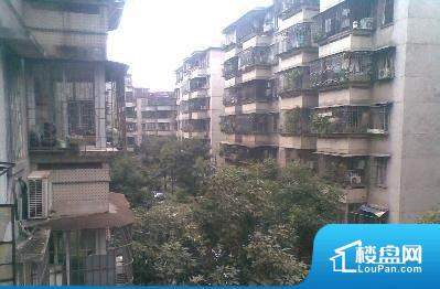 榴社區(qū)2024最新地址揭秘，科技前沿重塑生活體驗(yàn)新篇章