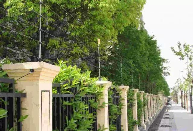 山河藥輔最新動(dòng)態(tài)，引領(lǐng)醫(yī)藥行業(yè)新篇章