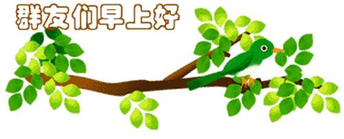 最新清晨祝福短信，晨曦中的溫暖問候，傳遞美好祝愿與關(guān)懷