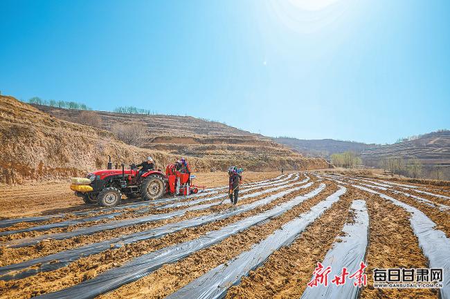 秦安最新新聞，城市溫情日常溫馨小事報道