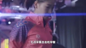 笑斯人最新視頻，日常趣事與友情的紐帶展現(xiàn)！