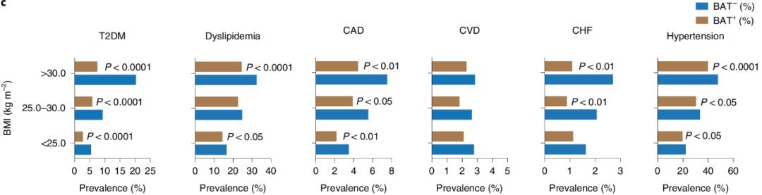 腦疾病最新研究，重塑大腦信心與成就感之路