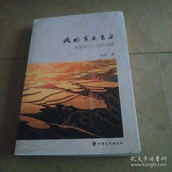 時代背景下的鄉(xiāng)土情懷與文學地位，最新鄉(xiāng)土小說探析