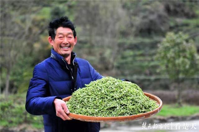 最新夷陵新聞，探索自然美景的旅程，尋覓內(nèi)心平和之地