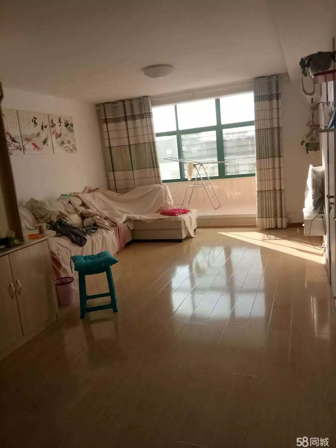 萊西最新個(gè)人租房，窗外世界與自我成長(zhǎng)的旅程