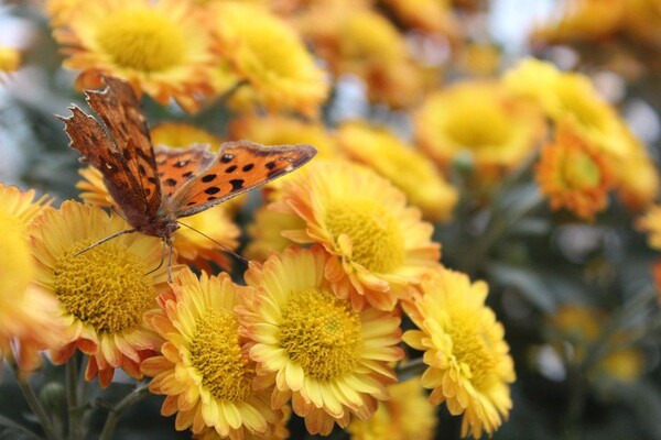 番茄最新作品，用學習之鑰，開啟自信與成就的大門