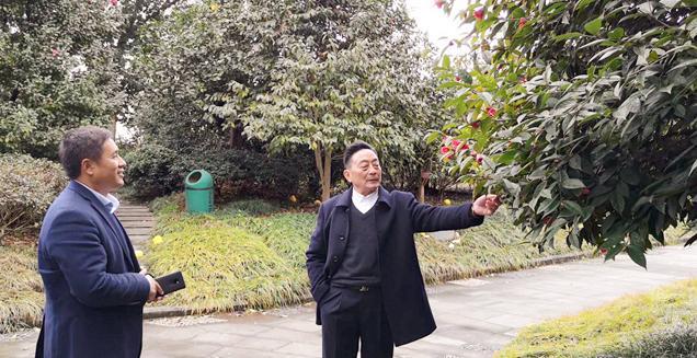 最新花木求購，開啟一場尋綠之旅的溫馨旅程