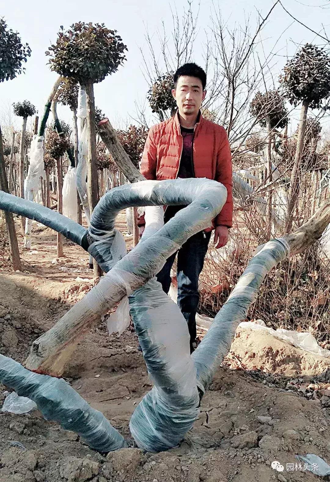 定州最新急招工，時(shí)代的呼喚與行業(yè)重塑的挑戰(zhàn)