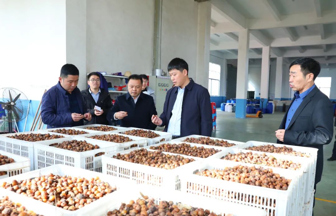 建寧最新新聞，城市溫馨日常與友情力量的展現(xiàn)