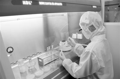 科技前沿與社會熱點最新新聞材料速遞