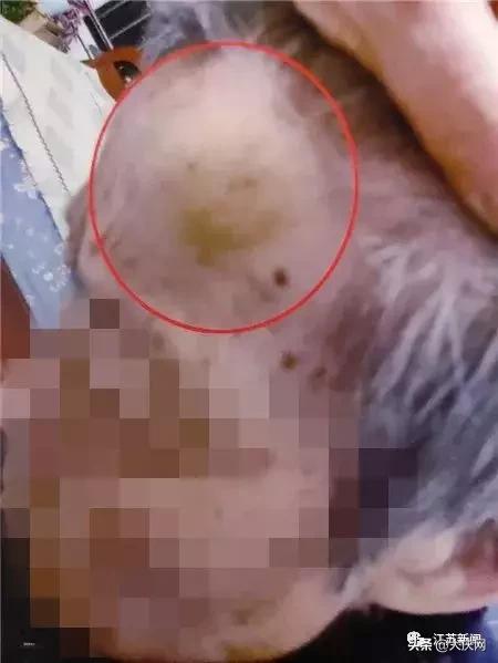 揪脖子最新視頻，探秘小巷風(fēng)情小店，獨(dú)家揭秘！