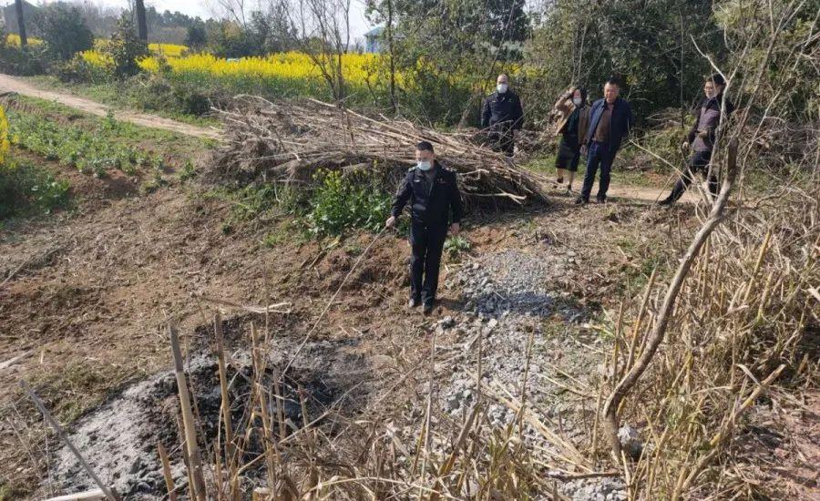 溧陽最新天氣，氣象變遷與地域影響探究