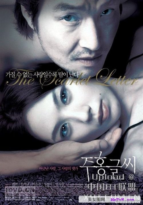 最新內(nèi)地倫理電影探索與啟示，揭示社會(huì)倫理的啟示與價(jià)值