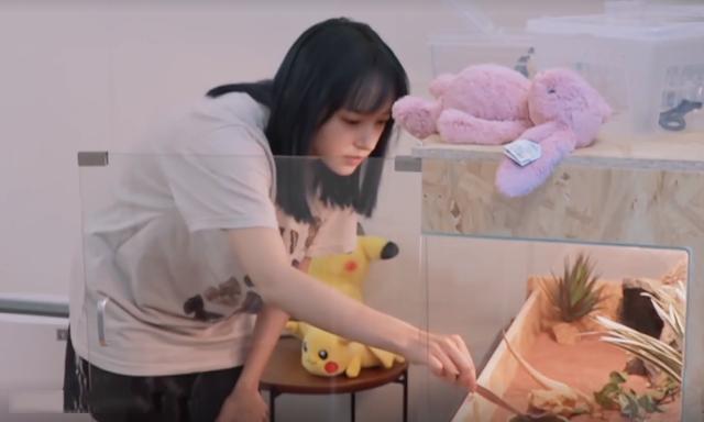 程瀟最新綜藝節(jié)目，心動(dòng)瞬間，不容錯(cuò)過(guò)！?