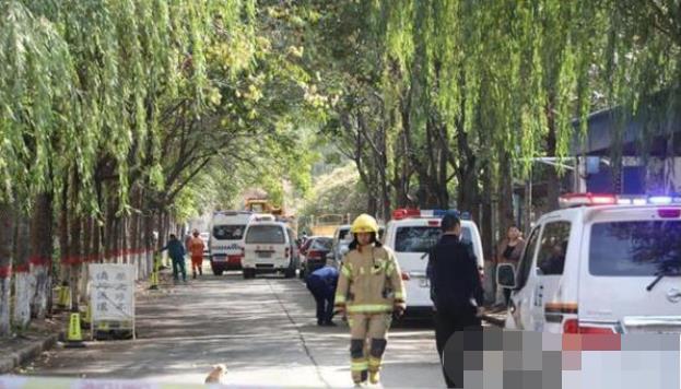 安陽最新事件，溫馨日常與不期而遇的友情之旅