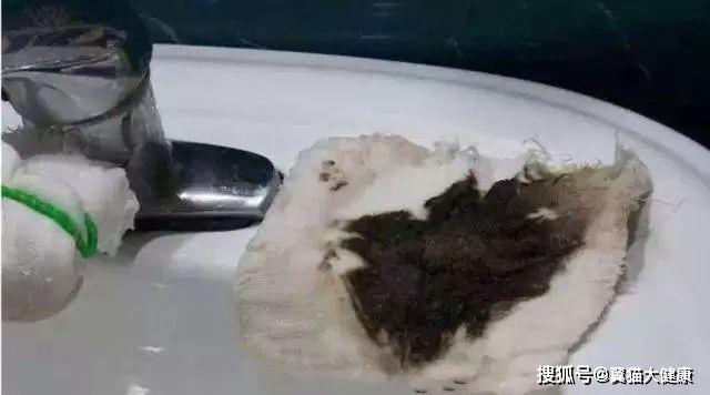 揭秘水污染真相，小杰的河流探索之旅——溫馨河流的秘密揭秘視頻