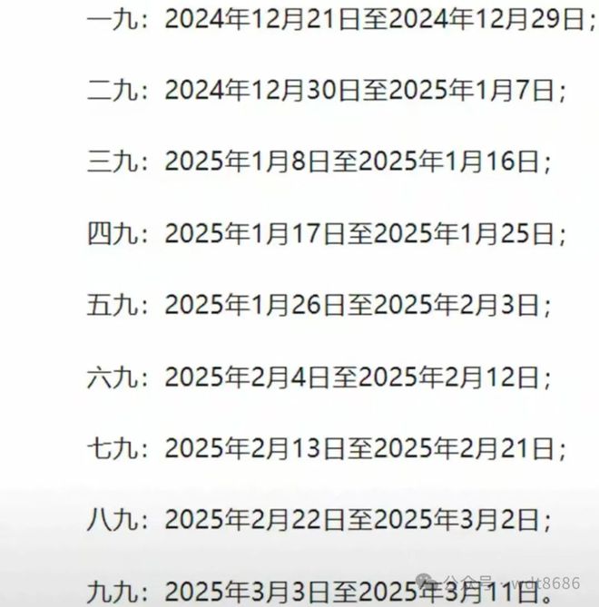 最新久久網(wǎng)2025，友情小船與溫馨日常的交織