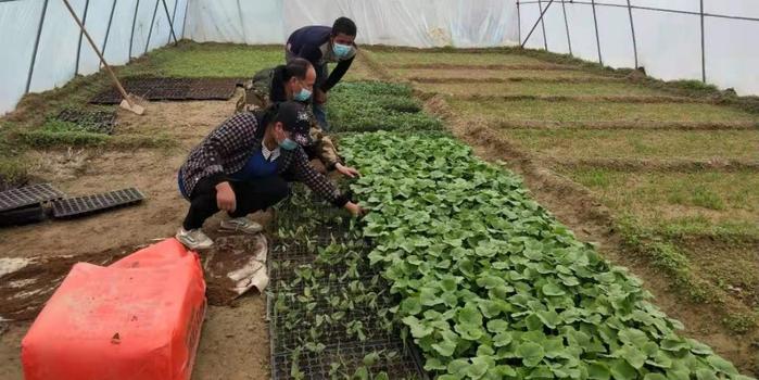 策勒最新招聘啟航人才新篇章，學(xué)習(xí)變化，擁抱自信與成就，啟程人生新征程！