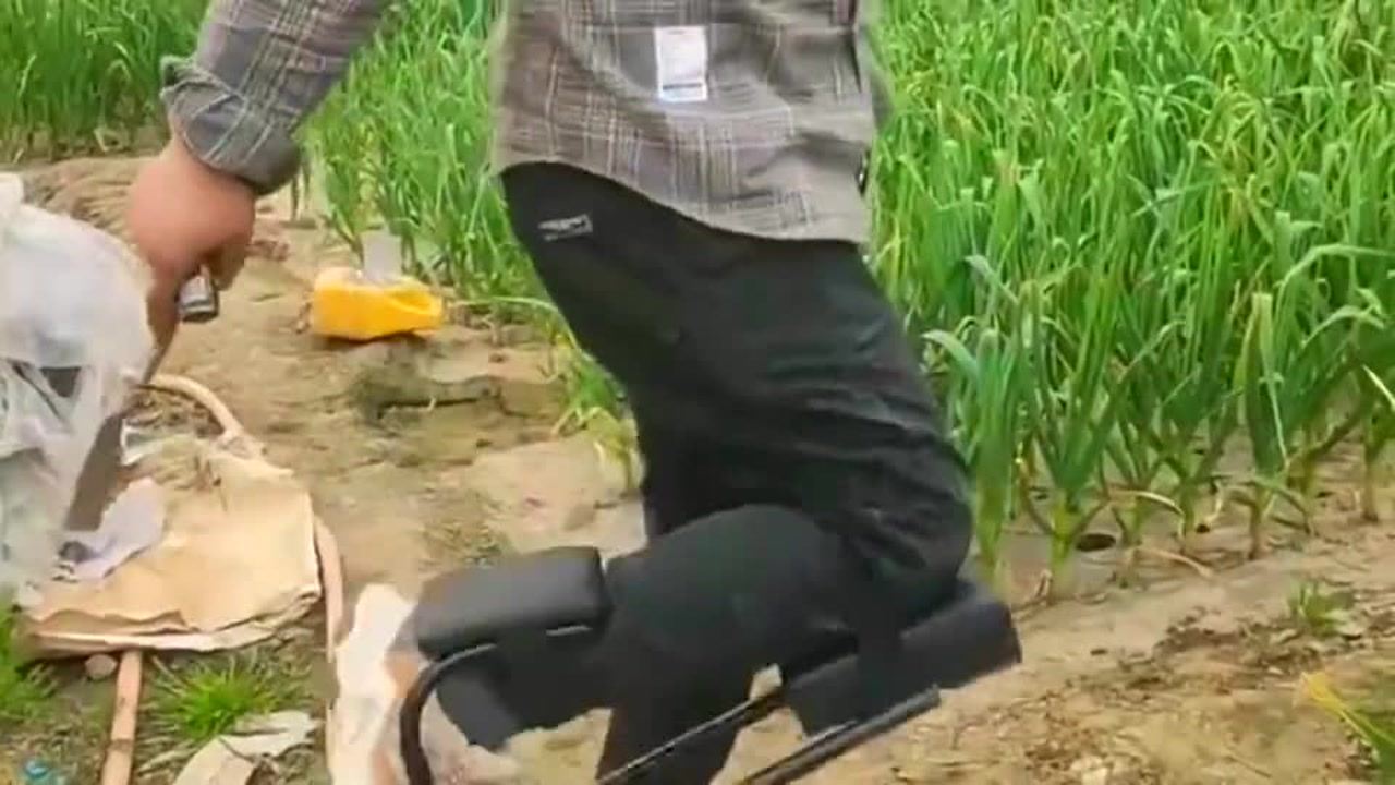 最新挖蒜工具，心靈與自然的完美交融