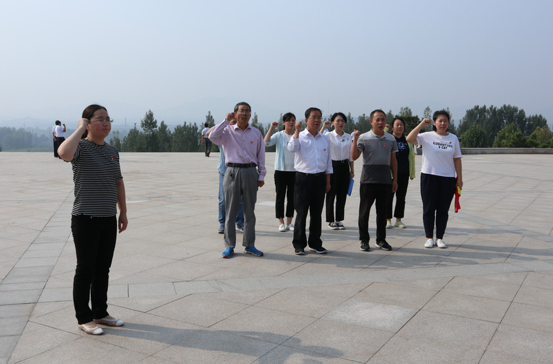 肥城房產(chǎn)最新動(dòng)態(tài)，市場(chǎng)走勢(shì)、熱門(mén)區(qū)域與案例分析