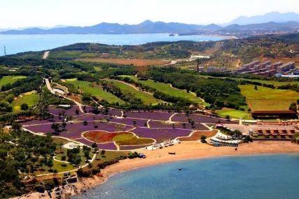 心悅海島探險攻略，最新任務(wù)指南與探險體驗