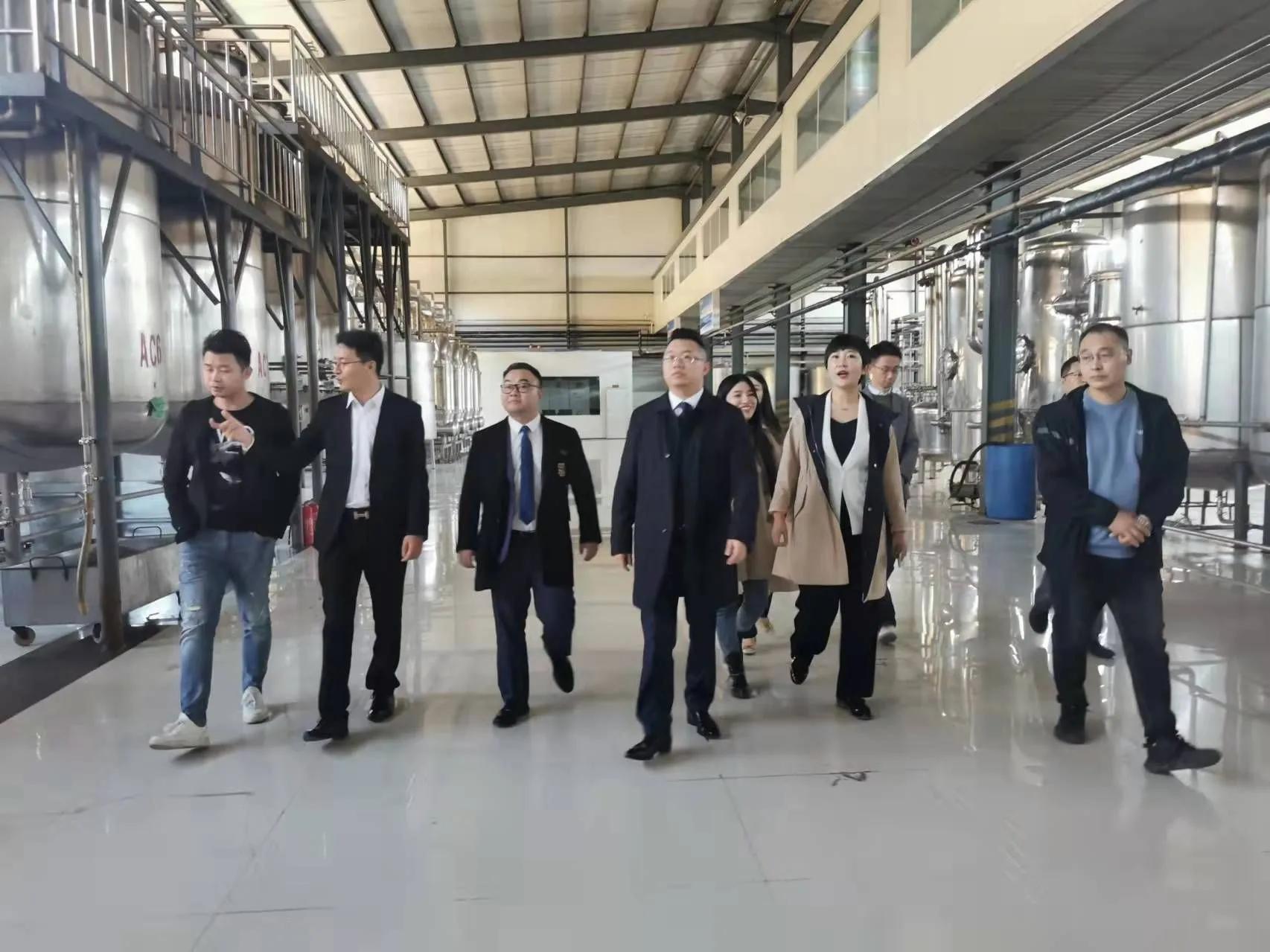 鼎恒升最新動態(tài)，追溯特定領(lǐng)域的發(fā)展歷程與重要地位