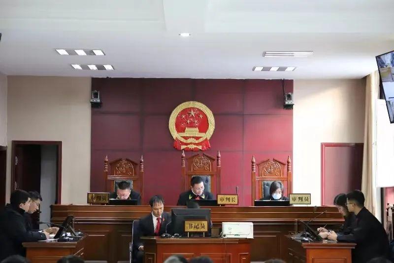 偏關(guān)最新案件深度解析，揭示真相，關(guān)注社會(huì)公正與公平