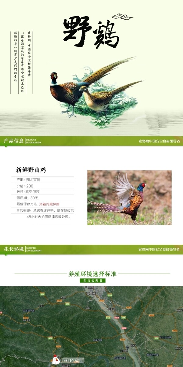 深度剖析，最新山雞的背景、事件與地位概述