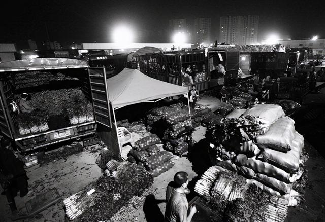 掌握新技能與完成任務(wù)，最新趨勢(shì)下的步驟指南