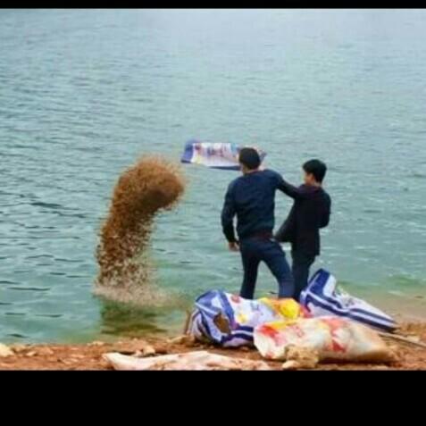 科學(xué)釣魚最新探索，學(xué)習(xí)與實(shí)踐的成就感之旅