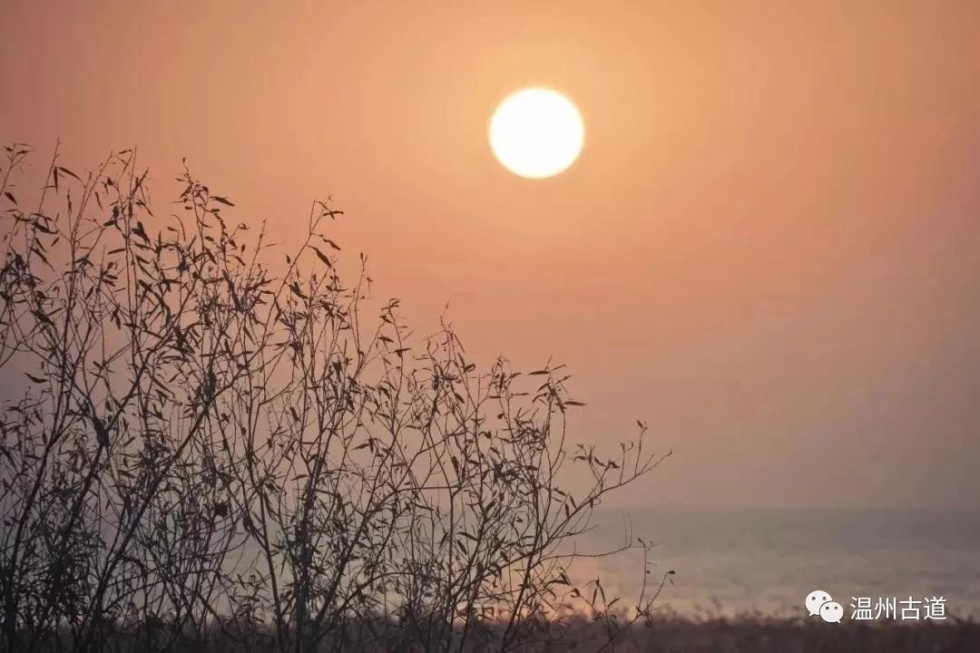 最新瘟疫詩詞，時代之聲與人文關(guān)懷的交融展現(xiàn)