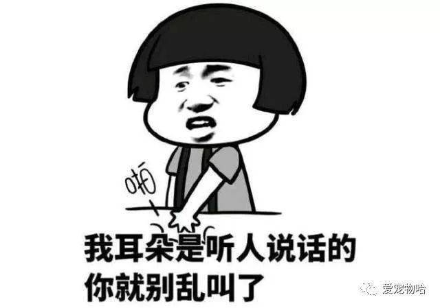 最新枕邊笑話，科技小寶貝，生活添樂趣